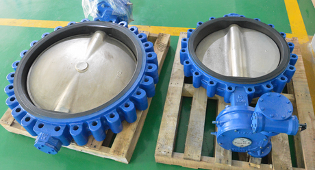 lug butterfly valve.png